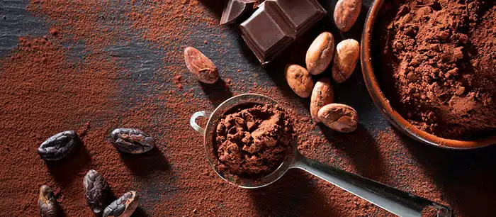 Cacao-Powder-Pic